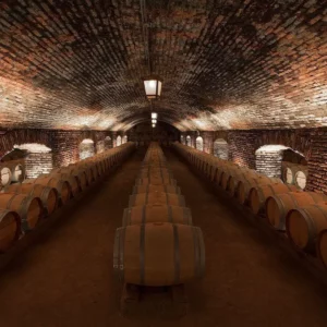 tours y visita vina concha y toro 1 | EXPERIÊNCIA CONCHA Y TORO