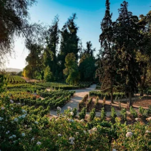 tours y visita vina concha y toro 5 | EXPERIÊNCIA CONCHA Y TORO
