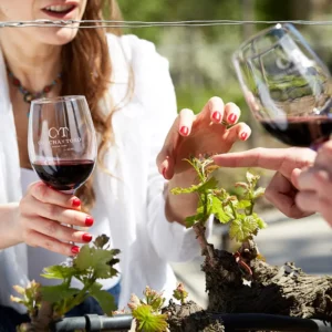 tours y visita vina concha y toro 14 | EXPERIÊNCIA CONCHA Y TORO