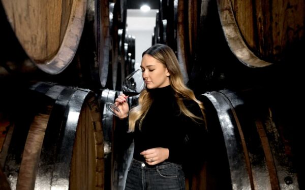 Entre colheitas e aromas: Descubra o lugar onde se guarda o vinho